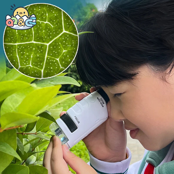 Kids Science Adventure Microscope Kit